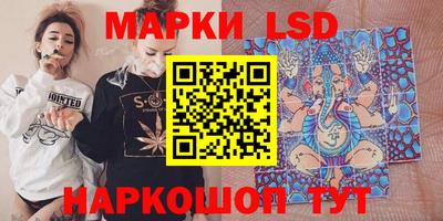 apvp Камень-на-Оби