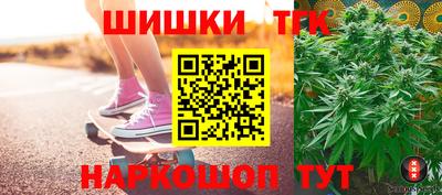 apvp Камень-на-Оби