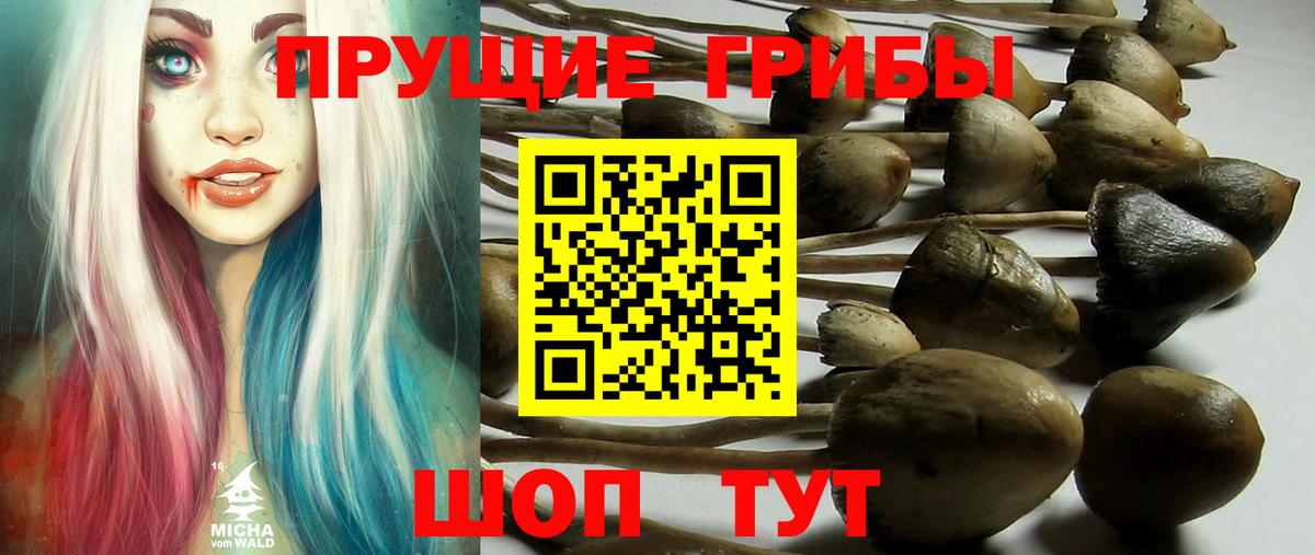 Галлюциногенные грибы ЛСД Артём