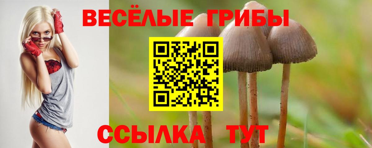 Галлюциногенные грибы MAGIC MUSHROOMS  Вход с VPN  купить закладку  Артём 